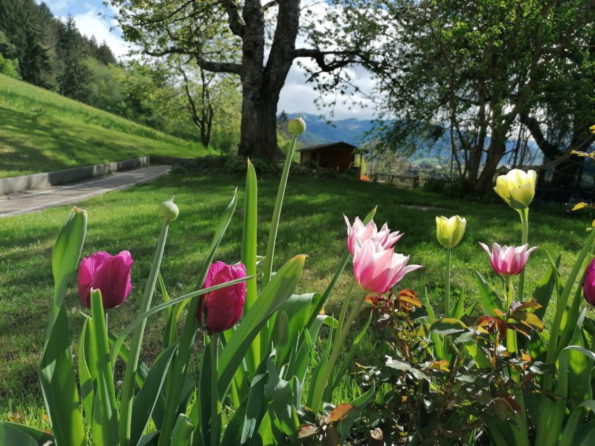 Hoerandlhof Aigen im Ennstal Exterior foto